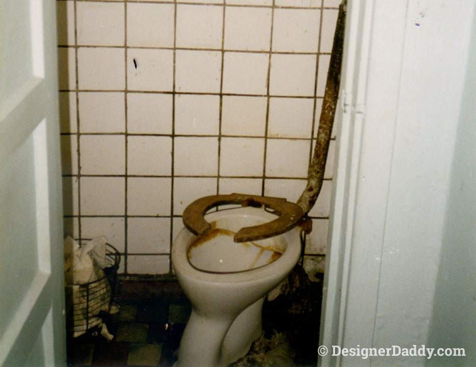 While this is not the toilet in the story, it was the one in our flat. That we used every day for 3 months.