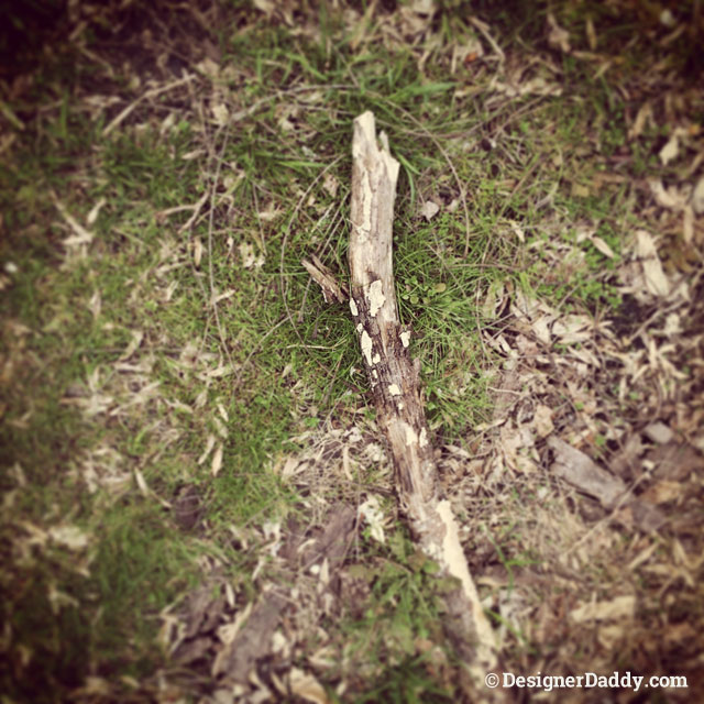 A Walk In The Woods striaght rock stick