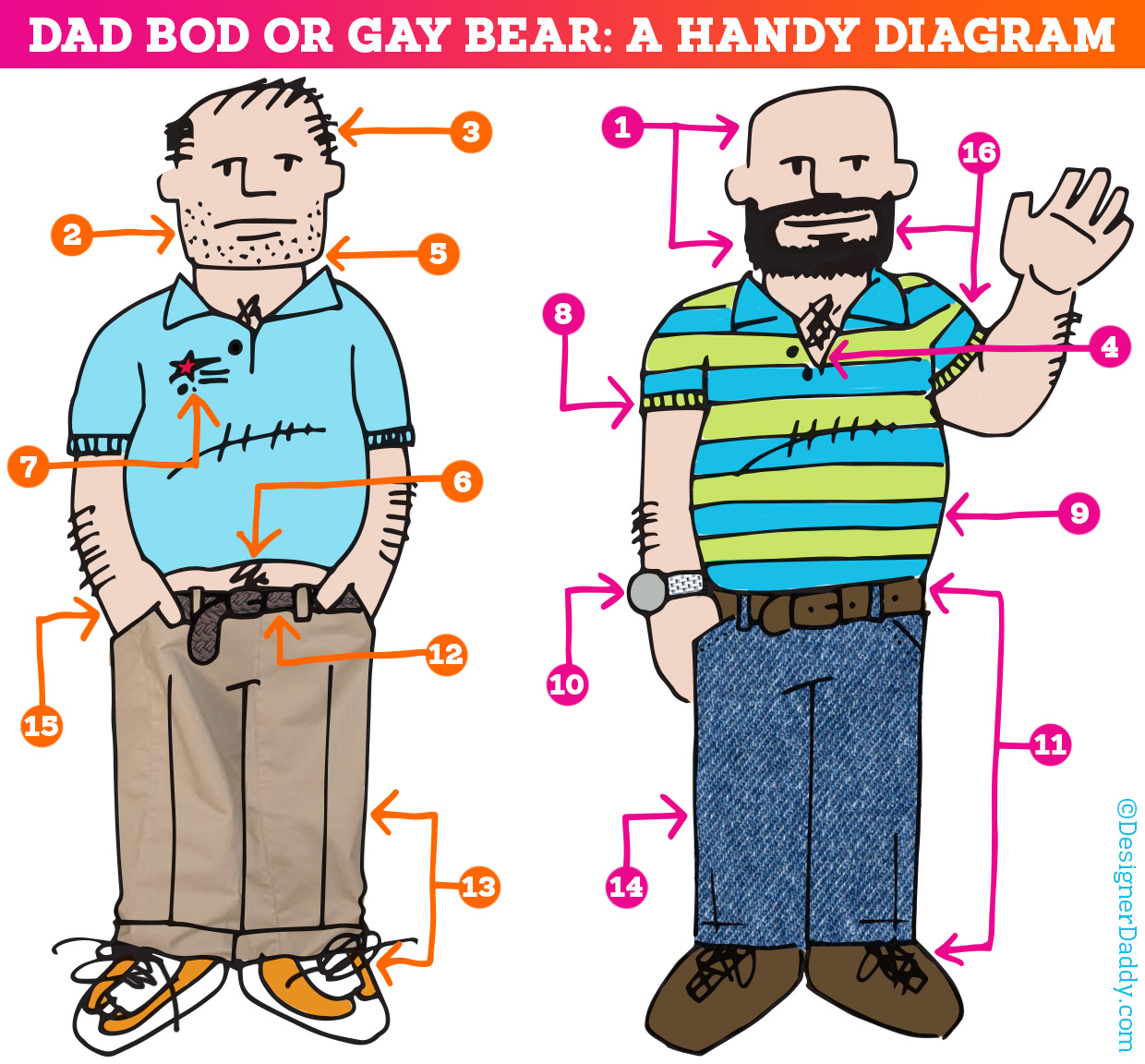 Dad Bod or Gay Bear
