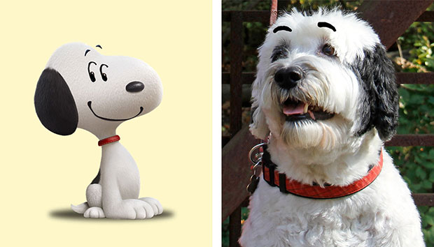 The Peanuts Movie Starring Real Actors: My dog as Snoopy